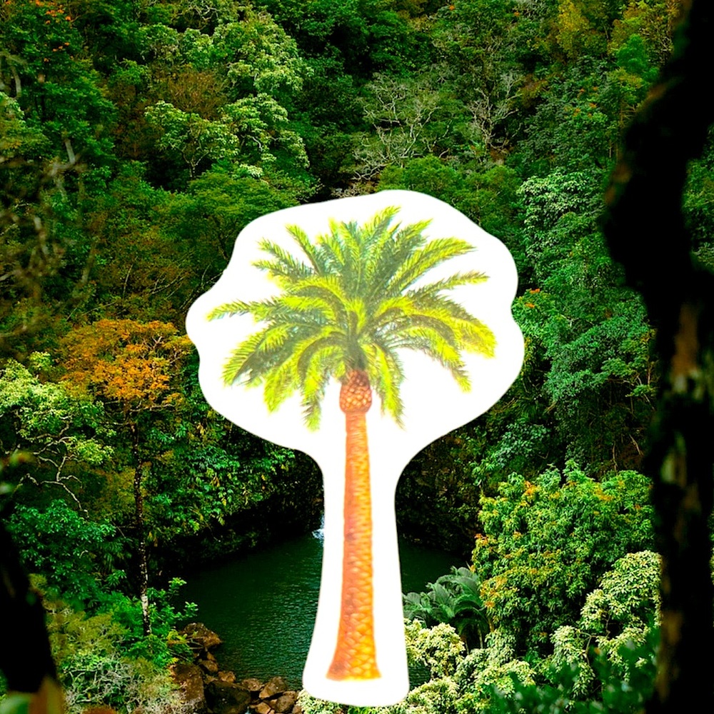 PALM Hawaii Aloha State Ohana Shaka Travel 808 Samoan Love Single Sticker
